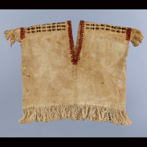 Tokai University                 AndesCollection